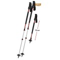 K-W21-EN-K1742354-10-Thermo-Ascent-Ti3-2.jpg