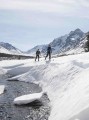 madshus_2122_N21870_Panorama-M68_P-4.jpg