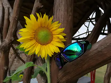 Jak wybrać okulary sportowe? Fotochrom, polaryzacja i dobór do aktywności